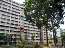 Blk 114 Pasir Ris Street 11 (Pasir Ris), HDB 4 Rooms #124382